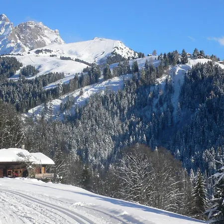 Les Dryades 8 By Interhome Villars-sur-Ollon